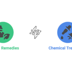 Natural Remedies for Head Lice