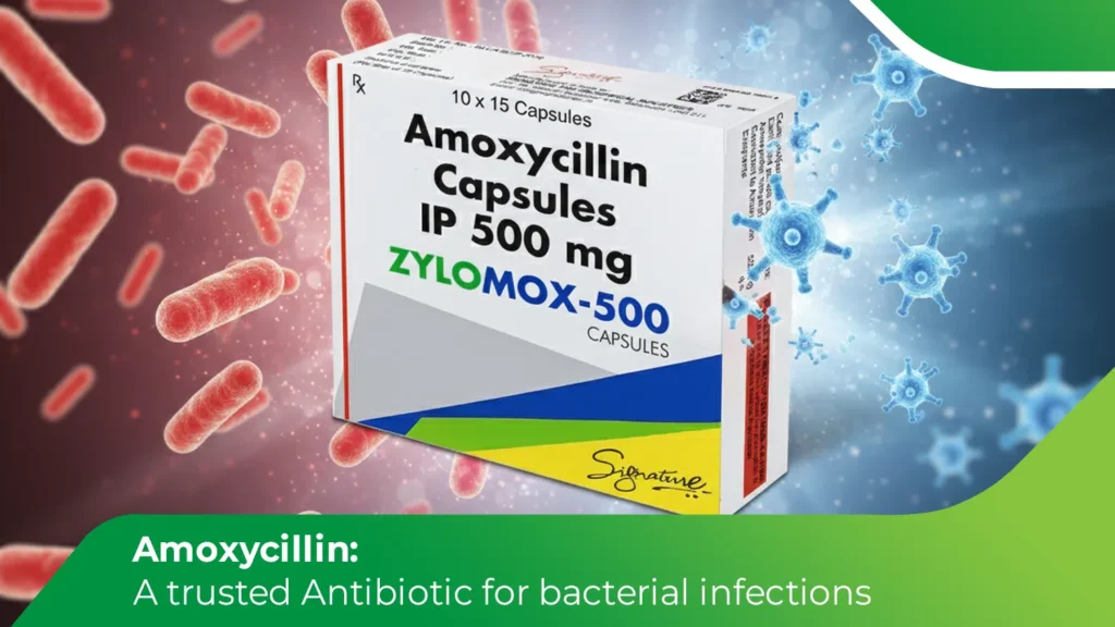 Amoxycillin 500 mg antibiotic capsules for bacterial infections