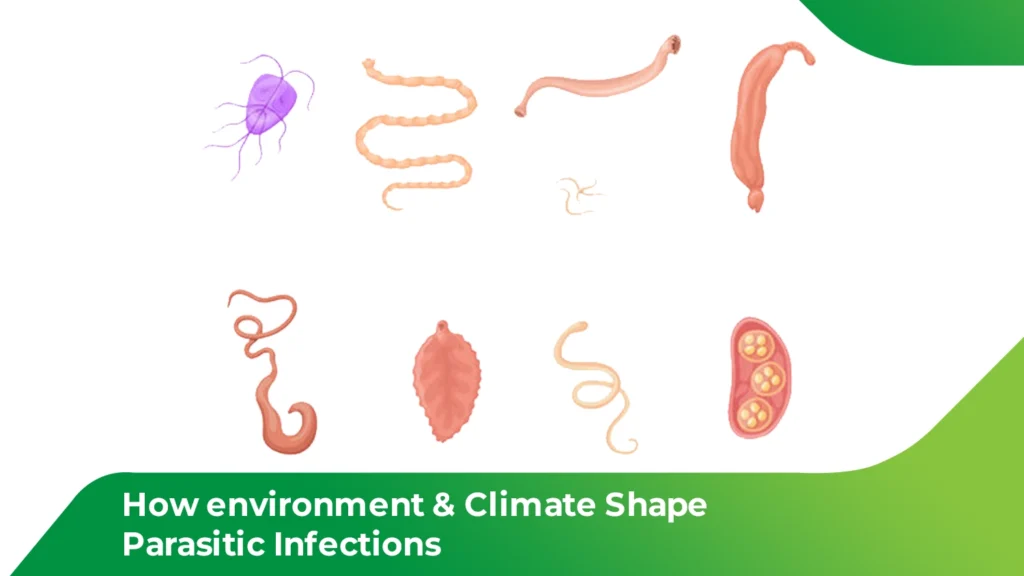 Climate change and parasitic infections showing different parasites influenced by environmental and climate conditions