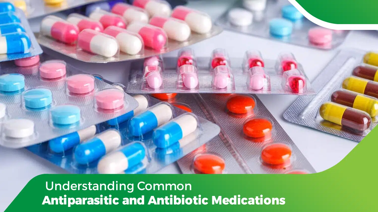 Blister packs of antiparasitic and antibiotic medications