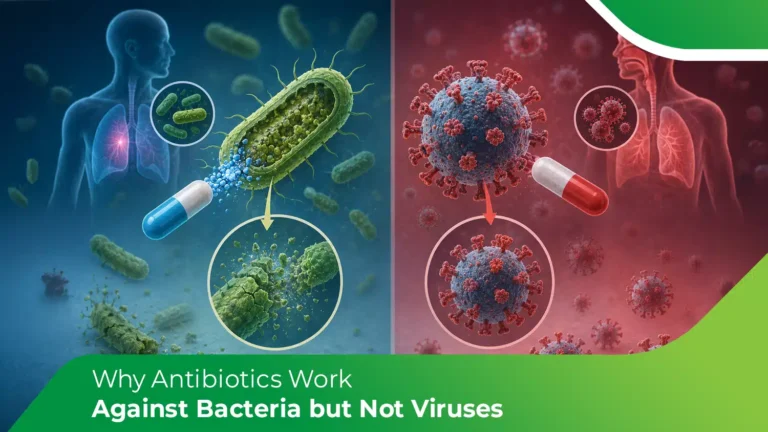 Viruses and bacteria illustration showing why antibiotics work against bacteria but not viruses