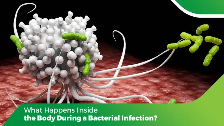 Bacterial infection inside the body