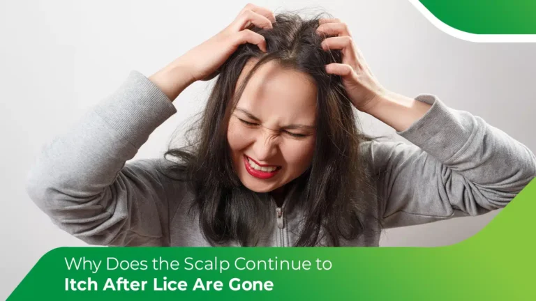 Scalp itching after lice