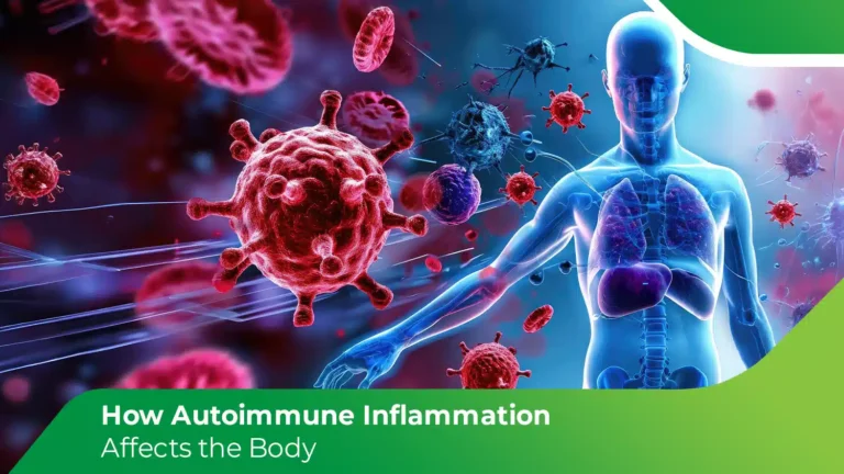 Autoimmune inflammation affecting the body, illustrated with immune cells, viruses, and internal organs.